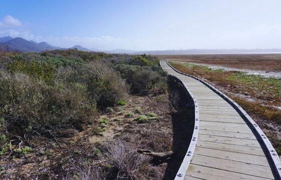 New Activity Clubs Starting in March