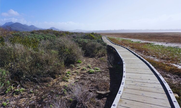 New Activity Clubs Starting in March